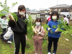 元気野菜づくり2021～収穫