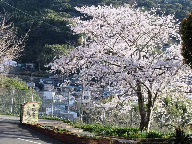 令和４年度 入学式・始業式