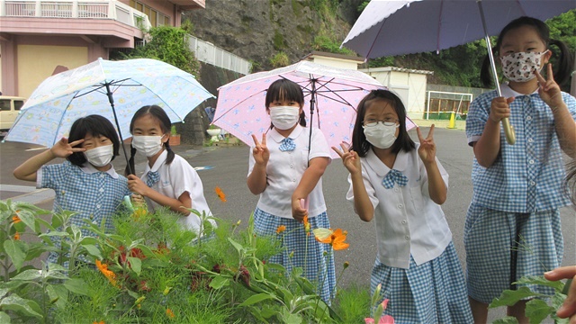 チョウの旅立ち 2022