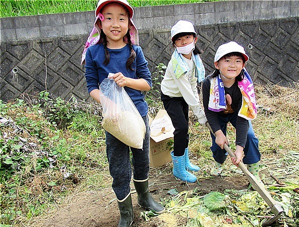 元気野菜収穫2022