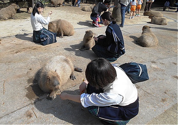 中３卒業遠足2022