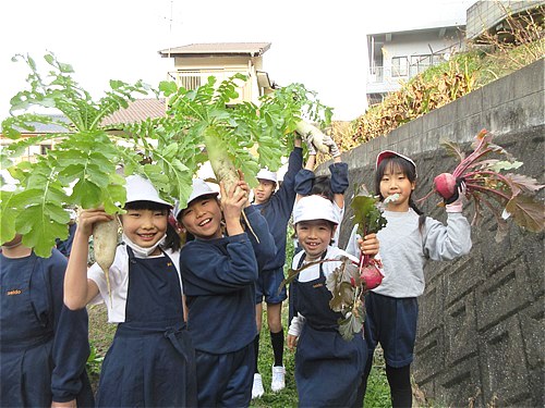 元気野菜づくり2026 ～調理